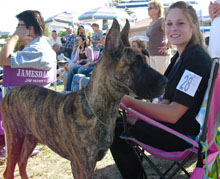 1st dog show with pickles