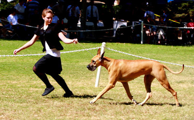 Eleanor and Danielle running