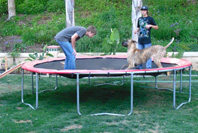 Troy on trampoline