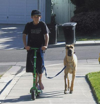 Troy exercising Eleanor