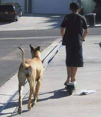 Troy exercising Eleanor